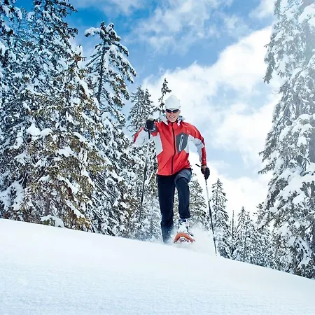 Penthouse An Der Piste 5 Chalet *